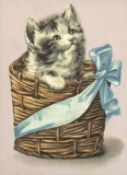 Tiere