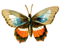 Kinder und Tiere