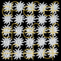 Dresdner Ornamente Edelweiß, 1-seitig silber (1175-5)