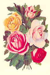 Bildkarte 5003 - Blumen