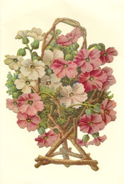 Bildkarte 5030 - Blumen