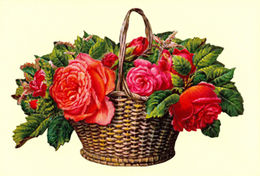 Bildkarte 5079 - Blumen