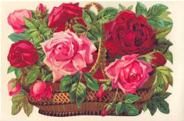 Bildkarte 5094 - Blumen
