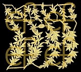 Dresdner Ornamente Myrte, 2-seitig gold (1107)