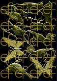 Dresdner Ornamente 8 Vögel, 2 Schmetterlinge, 2-seitig gold (1143)