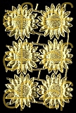 Dresdner Ornamente Margeriten, 1-seitig gold (1418)