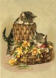 Prägekarte 3069 - Katzen