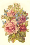 Bildkarte 5040 - Blumen