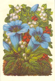 Bildkarte 5060 - Blumen