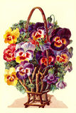 Bildkarte 5074 - Blumen