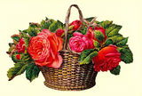Bildkarte 5079 - Blumen