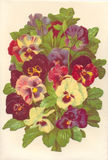 Bildkarte 5087 - Blumen