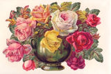 Bildkarte 5093 - Blumen