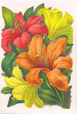 Bildkarte 5097 - Blumen
