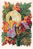 Bildkarte 5098 - Blumen