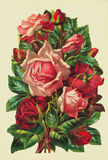 Bildkarte 5146 - Blumen