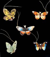 Geschenkanhänger - Schmetterlinge II